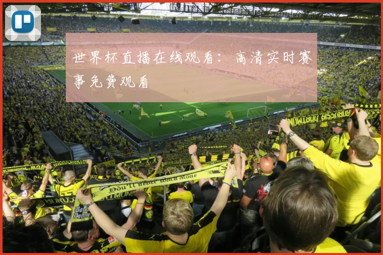 世界杯直播在线观看：高清实时赛事免费观看