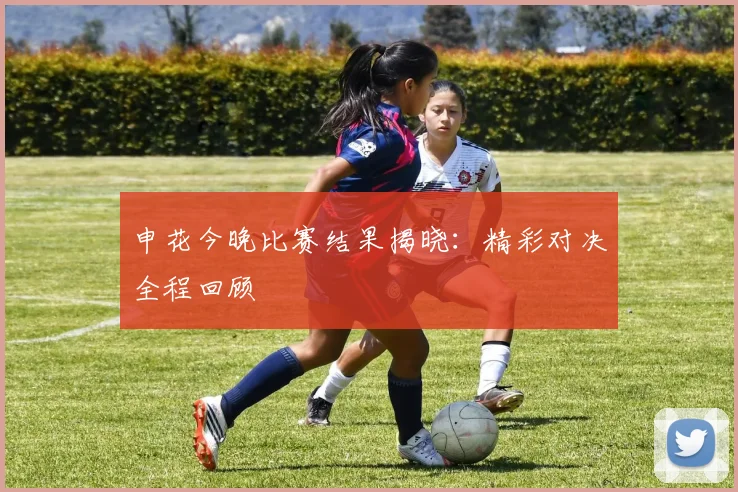 申花今晚比赛结果揭晓:精彩对决全程回顾