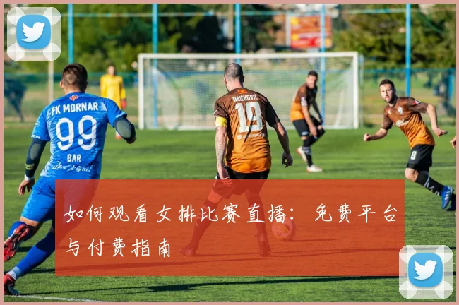 如何观看女排比赛直播:免费平台与付费指南