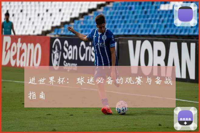 进世界杯：球迷必备的观赛与备战指南